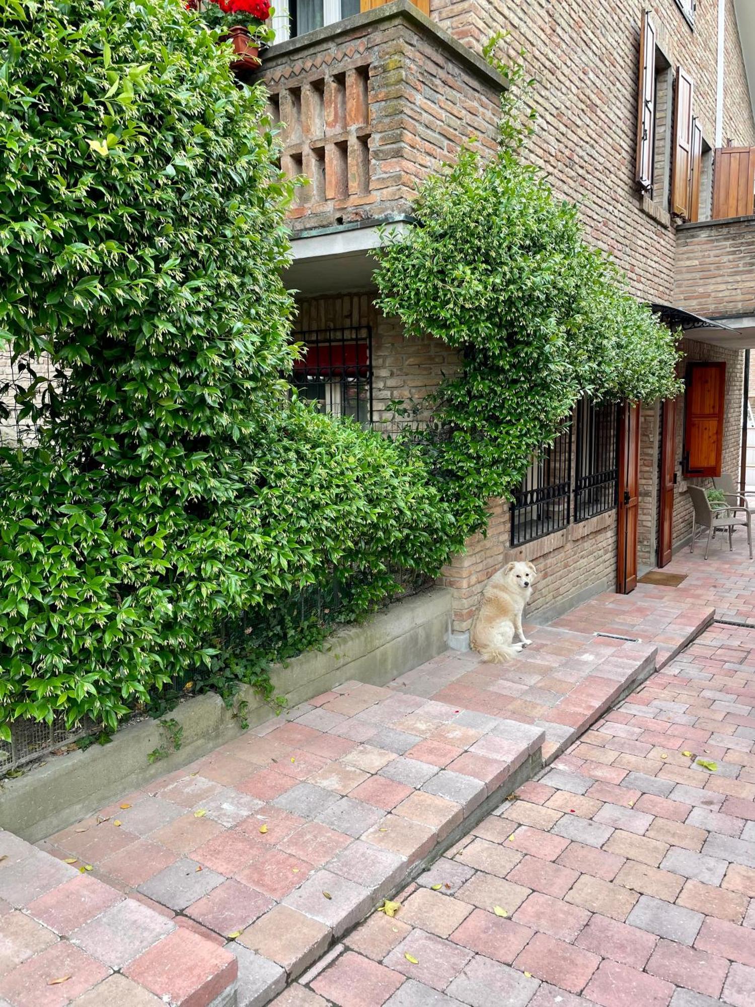Casa Matilde Piano Terra 100Mq Con Parking E Piscina Leilighet Ferrara Eksteriør bilde